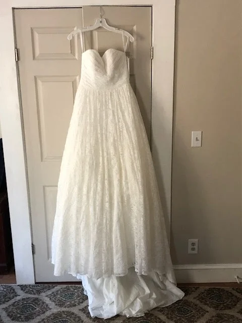 YEAR-End Sale David's Bridal Lace Pleated Bodice Ballgown/4XLWG3829